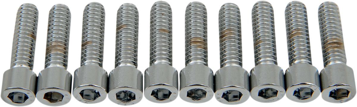 Drag Specialties Socket-Head Bolt 1/4-20X0.875 Smooth Chrome - Part #DS190536S - Hogparts UK