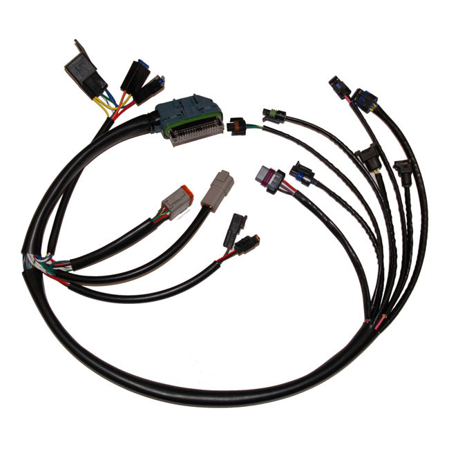 Namz, Oem Style Complete Efi Harness for 02-05 Big Twin With Efi