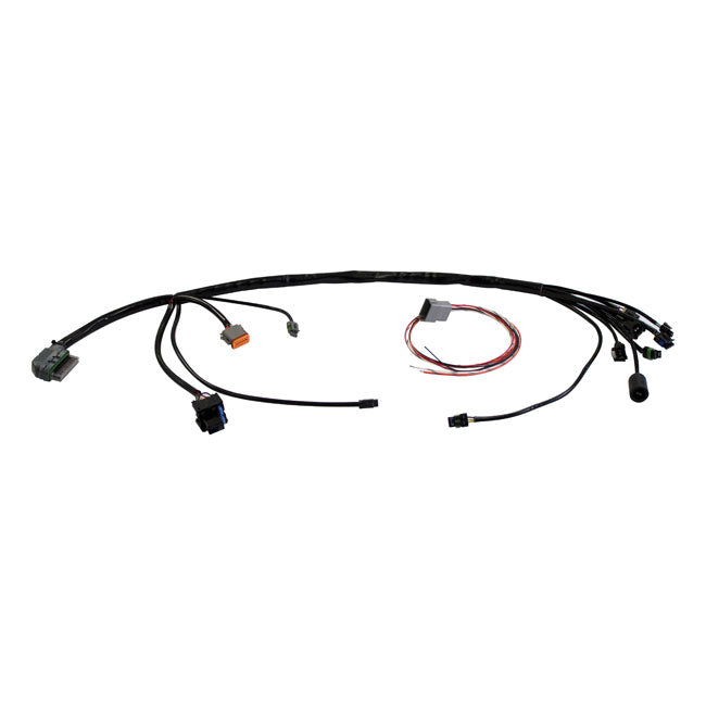 S&S, Universal Efi Wiring Harness for Custom Applications With 01-17 Style Delphi Efi & Ecu