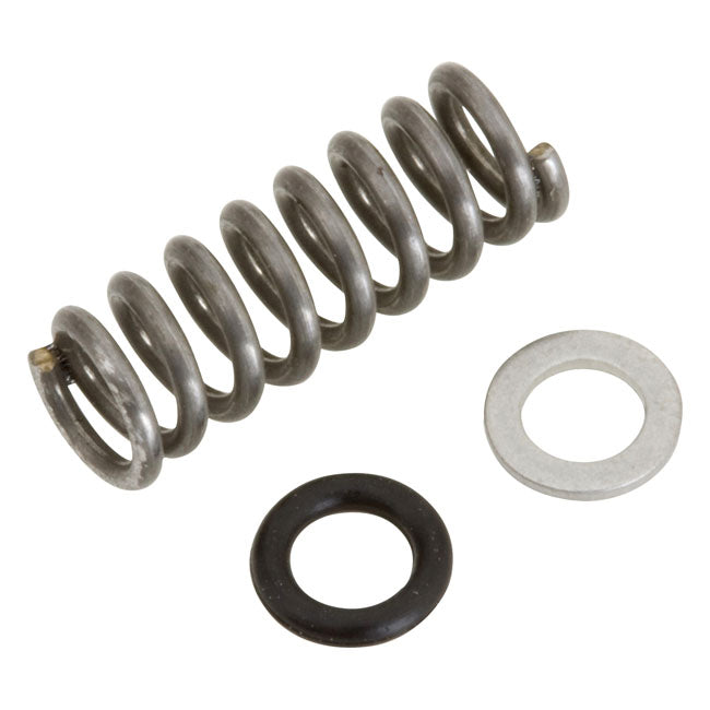 CVP, Mixture Packing Kit for 90-06 Big Twin; 88-06 XL With Cv Carb