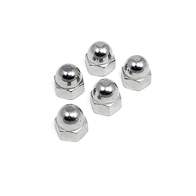 1/4-20 Acorn Nut Stainless