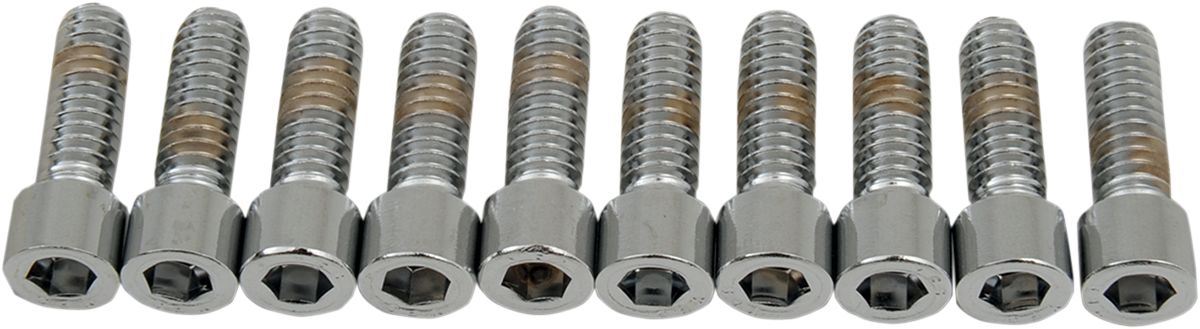 Drag Specialties Socket-Head Bolt 1/4-20X0.75 Smooth Chrome - Part #DS190535S - Hogparts UK