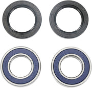 All Balls Wheel Bearing and Seal Kit for Various BMW, Kawasaki, and Suzuki Motorcycles
