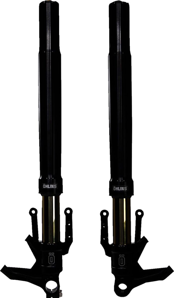 FRONT FORK CUST 48 BLK CVO RG/STG
