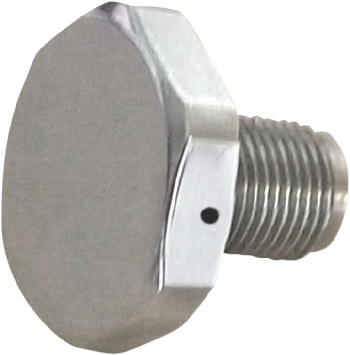 Upper Fork Tube Caps/Bolts