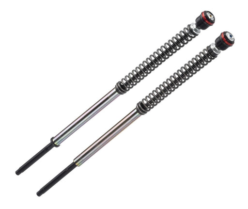 JBH12 Series fork cartridges Sportster