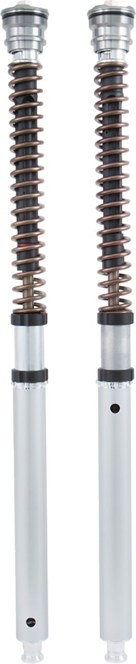 FGK Road/Track 30 mm Front Fork Cartridge Kit