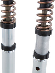 FGK Road/Track 30 mm Front Fork Cartridge Kit