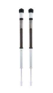 Ohlins CARTRIDGE KIT NIX 22 for 2023-2024 KAWASAKI Silver Fork Aluminium Pair #21944-02