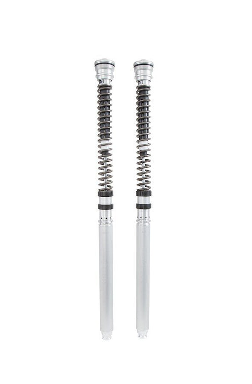 Ohlins CARTRIDGE KIT NIX 22 for 2013-2016, 2020-2021 TRIUMPH DAYTONA Silver Fork Aluminium Pair