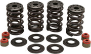 Kibblewhite Racing Valve Spring Kit Lightweight Racing Chromium Silicon Alloy