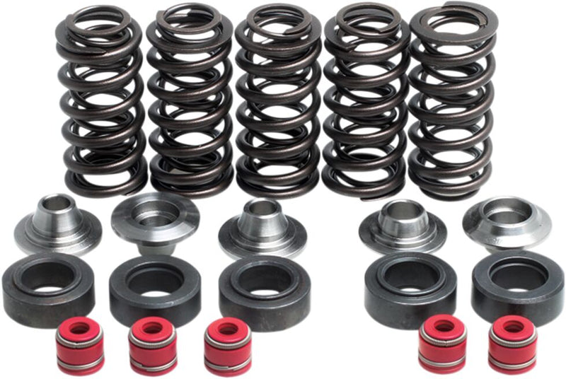 Kibblewhite Valve Spring Kit for 1998-2002 YAMAHA Lightweight Racing Chrome-Silicon