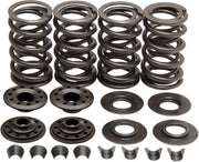 Kibblewhite Racing Valve Spring Kit Lightweight Racing Chromium Silicon Alloy