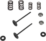 Kibblewhite Intake Stainless Conversion Valve and Spring Kit for 2008-2013 KTM Black Diamond™ Stainless #96-96450