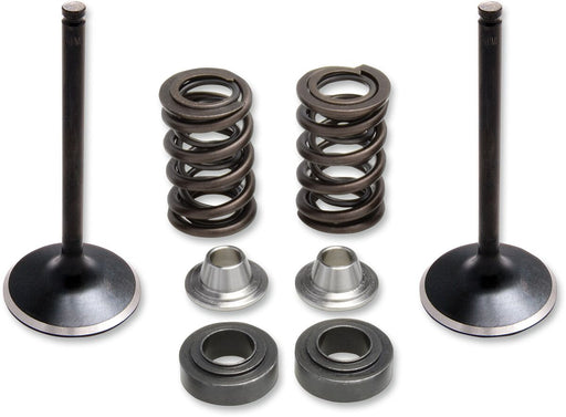 Kibblewhite Intake Stainless Conversion Valve and Spring Kit for 2014-2017 YAMAHA Black Diamond™ Stainless