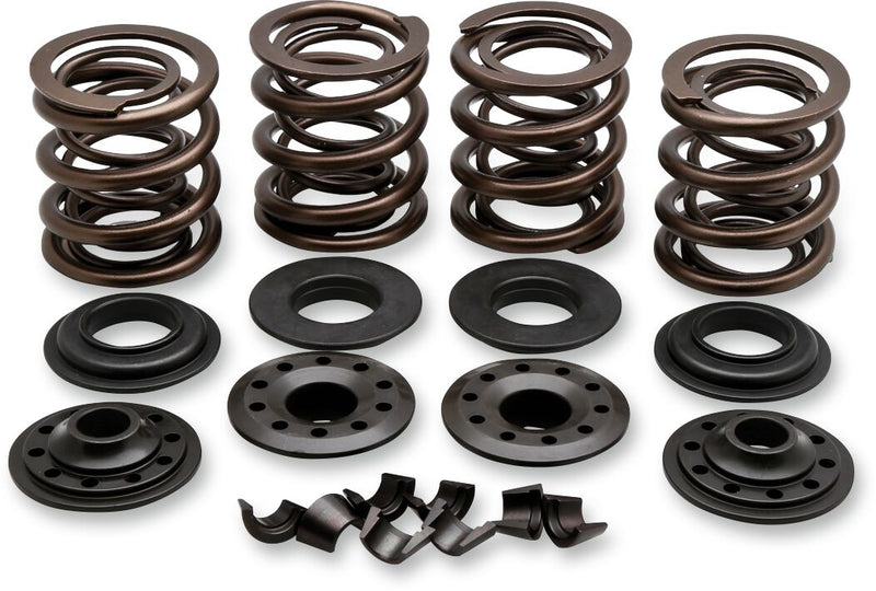 Kibblewhite OEM Replacement Valve Spring Kit for 1979-1984 Harley-Davidson Chromium Silicon Alloy