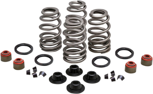 Kibblewhite Beehive Valve™ Spring Kit Ovate Wire Beehive High Performance Chromium Silicon Alloy