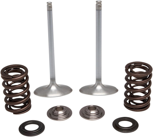 Kibblewhite Intake Stainless Conversion Valve and Spring Kit for 2017-2019 KAWASAKI KX 250 F White Diamond® Stainless