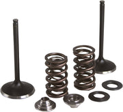 Kibblewhite Intake Stainless Conversion Valve and Spring Kit for 2019 YAMAHA YZ 250 F Black Diamond™ Stainless
