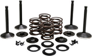 Kibblewhite Engine Valve Kit for 1936-1947 Harley-Davidson Engine Kit Black Diamond™ Stainless