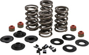 Kibblewhite Racing Valve Spring Kit Lightweight Racing Chromium Silicon Alloy #20-23500