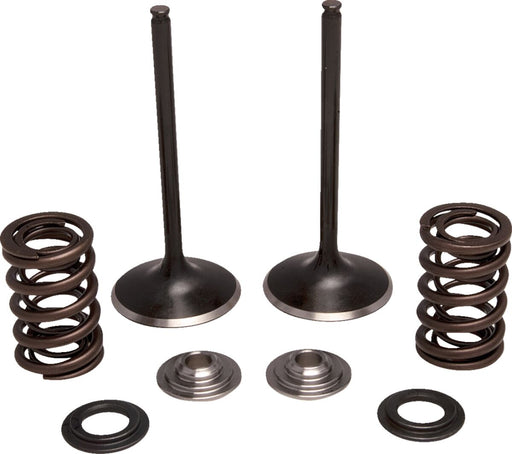 Kibblewhite Intake Stainless Conversion Valve and Spring Kit for 2018-2021 HONDA CRF 250 R Black Diamond™ Stainless