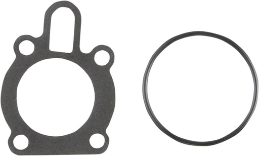 Oil Pump Gasket