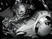 Kuryakyn One Piece Inner Primary Cover Chrome Die-Cast #KUR7780