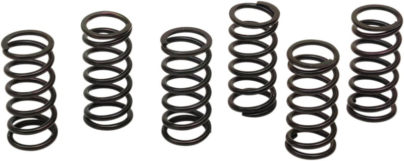 Clutch Spring Kit