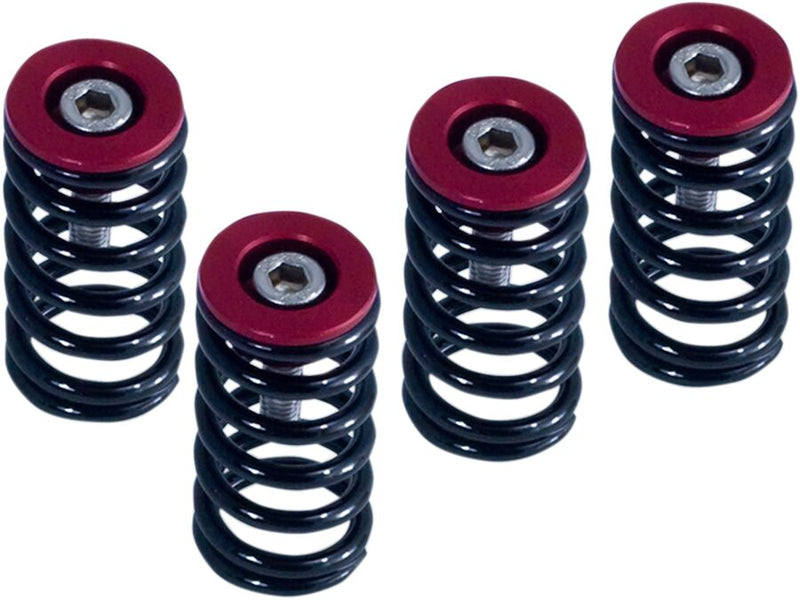 Clutch Spring Kit