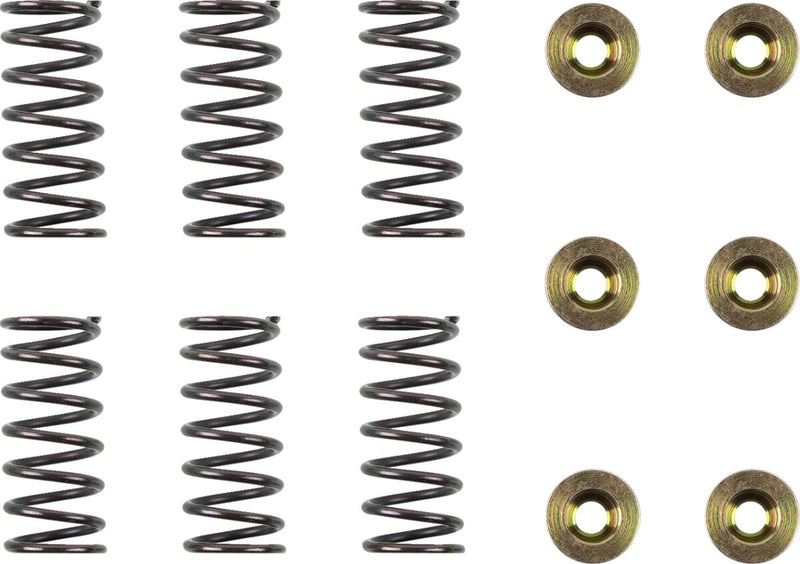 Clutch Spring Kit