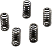 EBC CSK Series Heavy Duty Clutch Spring Kit Spring Set Steel
