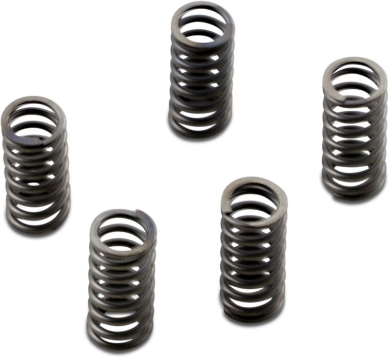 EBC CSK Series Heavy Duty Clutch Spring Kit Spring Set Steel