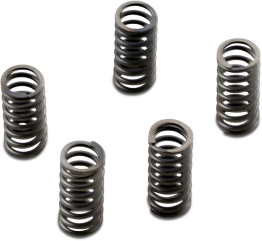 EBC CSK Series Heavy Duty Clutch Spring Kit Spring Set Steel