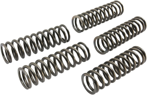 EBC CSK Clutch Spring Set for 2015-2017 KTM CSK Series Coil Spring Set of 5