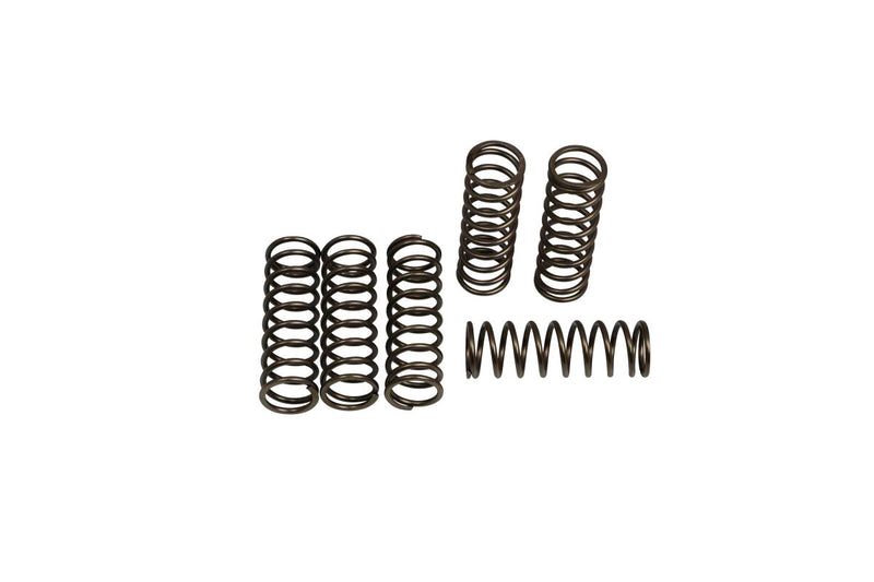 EBC CSK Clutch Spring Set for 2006-2020 BMW CSK Series Coil Spring Set of 6
