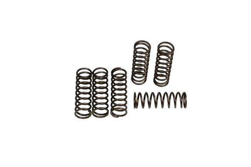 EBC CSK Clutch Spring Set for 2006-2020 BMW CSK Series Coil Spring Set of 6