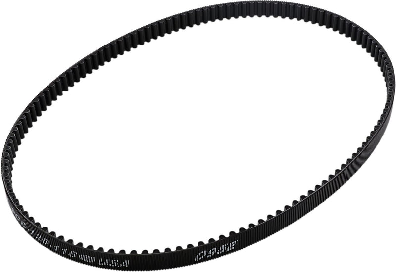 Belt Drives LTD Rear Drive Belt
