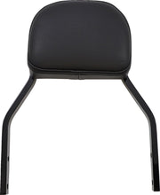 Cobra Detachable Backrest Kit #602-2026B