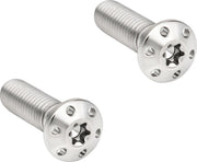 Brake Caliper Mounting Bolts