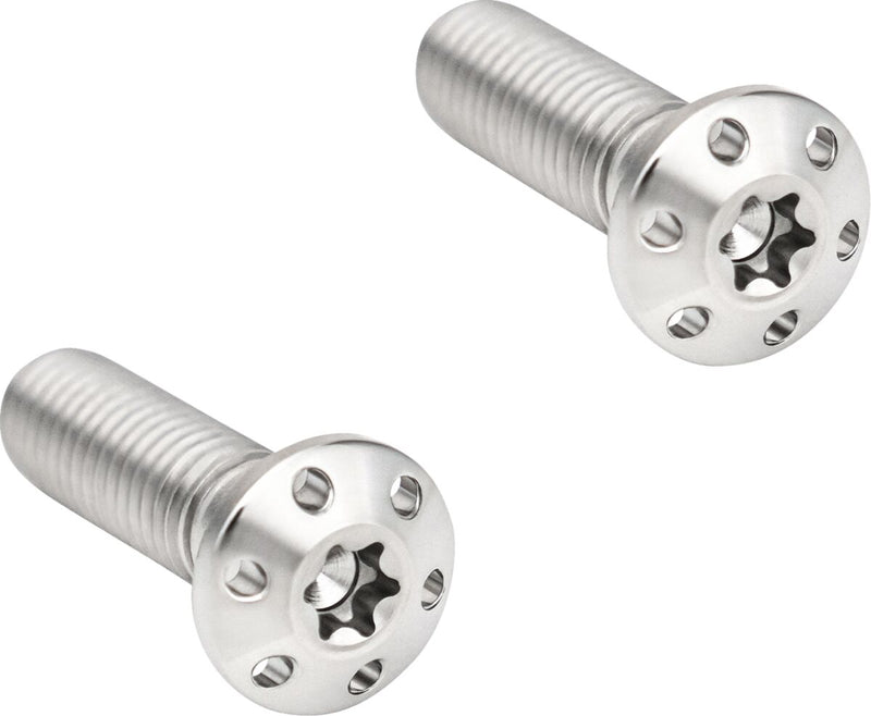 Brake Caliper Mounting Bolts