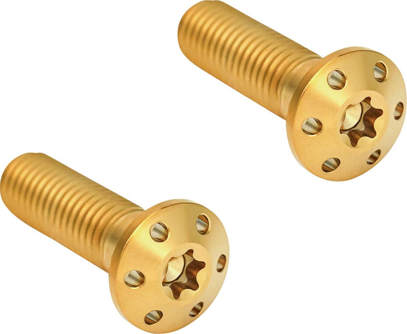 Brake Caliper Mounting Bolts