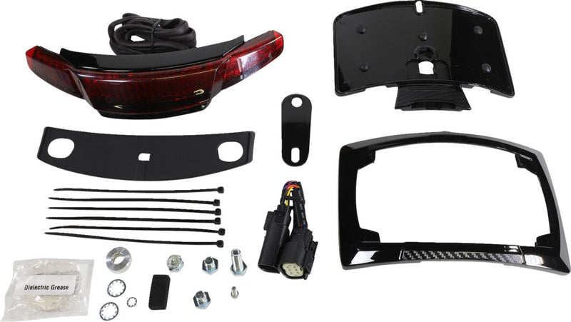 Taillight and Licence Plate Mount Touring