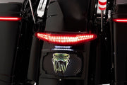 Taillight and Licence Plate Mount Touring