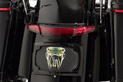 Taillight and Licence Plate Mount Touring