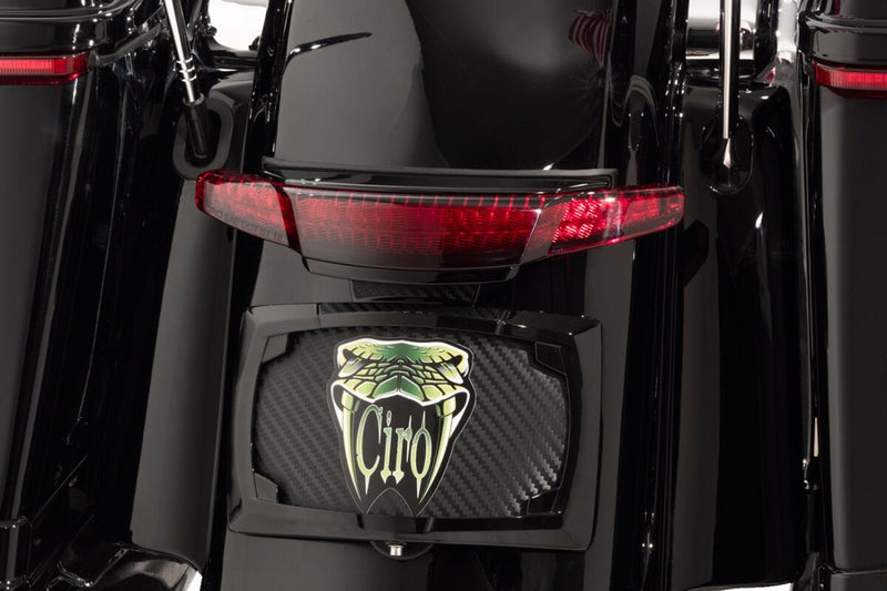Taillight and Licence Plate Mount Touring