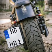 Winglets Led Turn Signals Dyna, Softail, Classic, Revolution, Sportster, Touring, V-Rod, Street, Trike, Livewire #HBWL-3TS