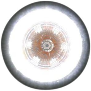 Custom Dynamics Complete ProBeam Dynamic Ringz Turn Signal