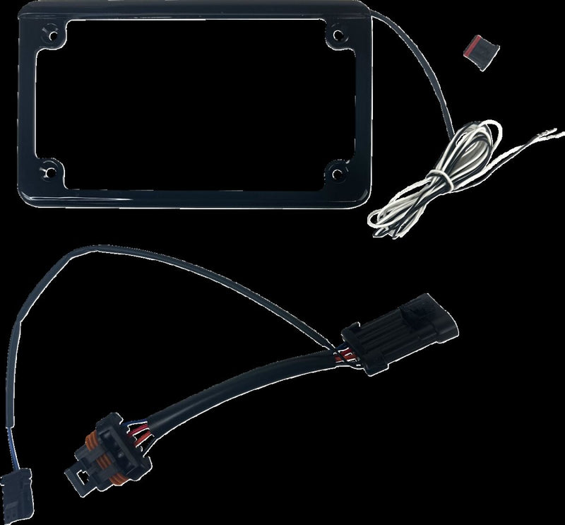 Licence Plate Frame with Tag Illumination