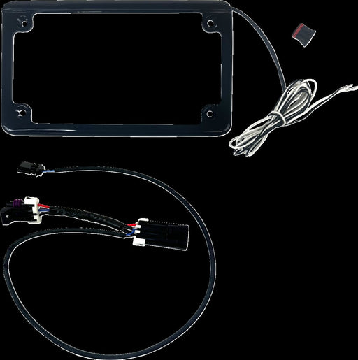 Licence Plate Frame with Tag Illumination